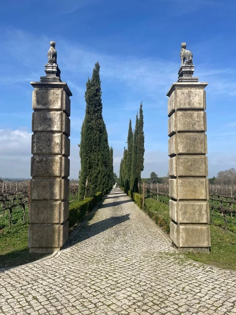 bacalhoa-vineyards.jpeg