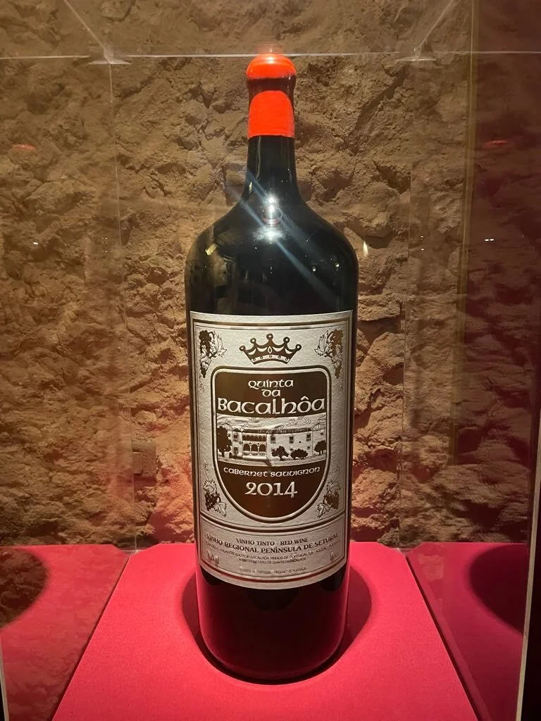 bacalhôa-palacio-museum-6.jpeg