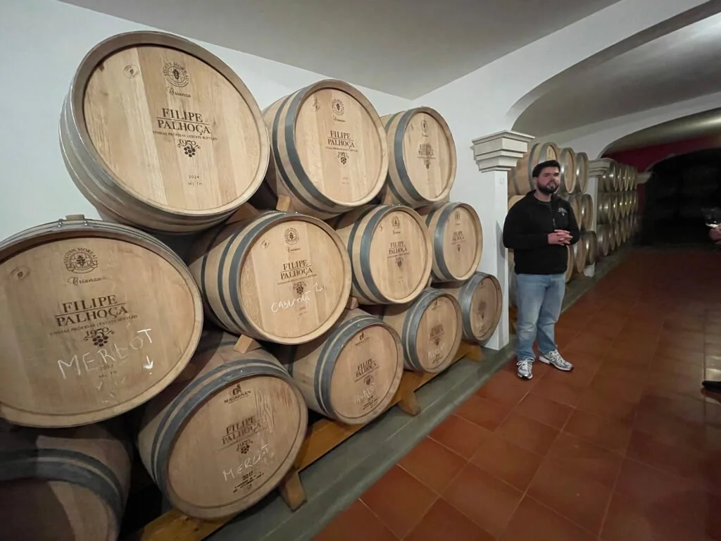 filipe-palhoca-setubal-cellars.jpeg
