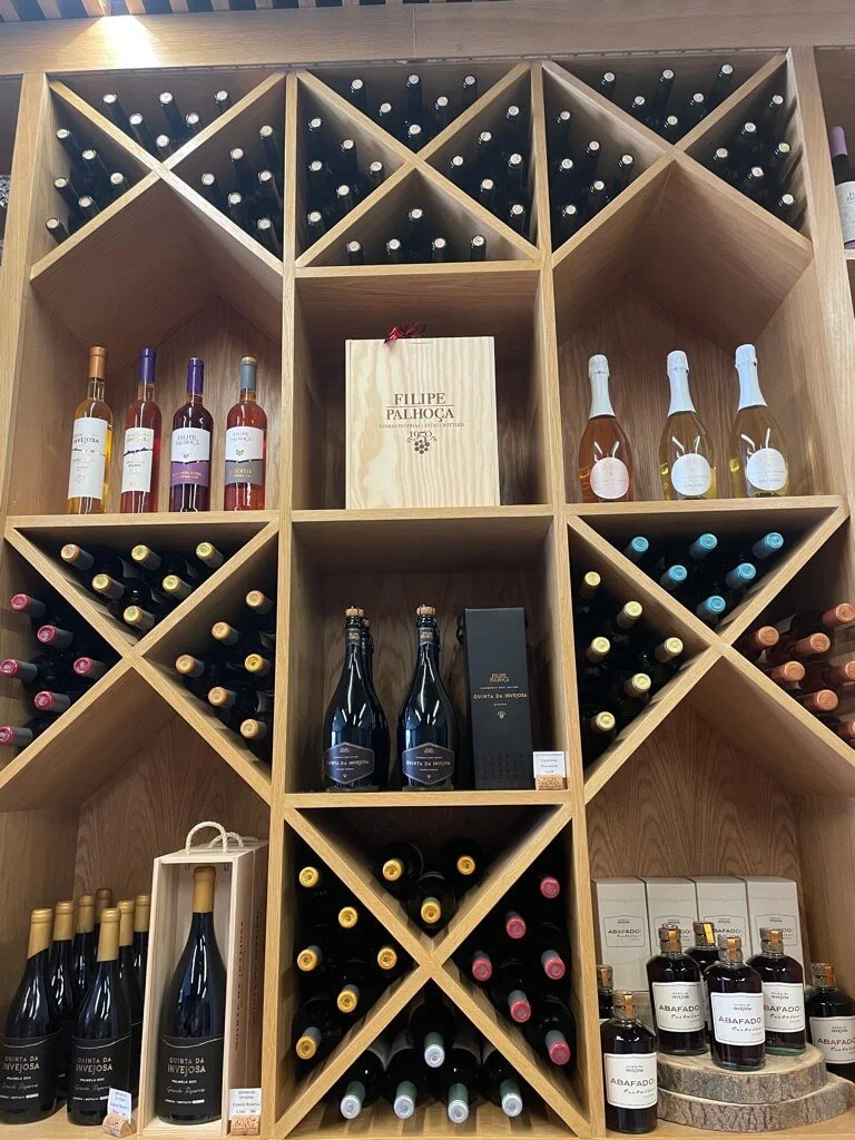 filipe-palhoca-setubal-wines.jpeg