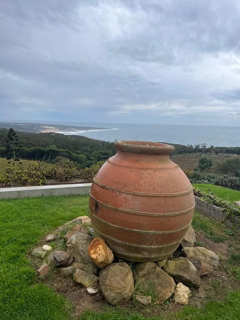 vale-da-roca-lisboa-wine.jpeg
