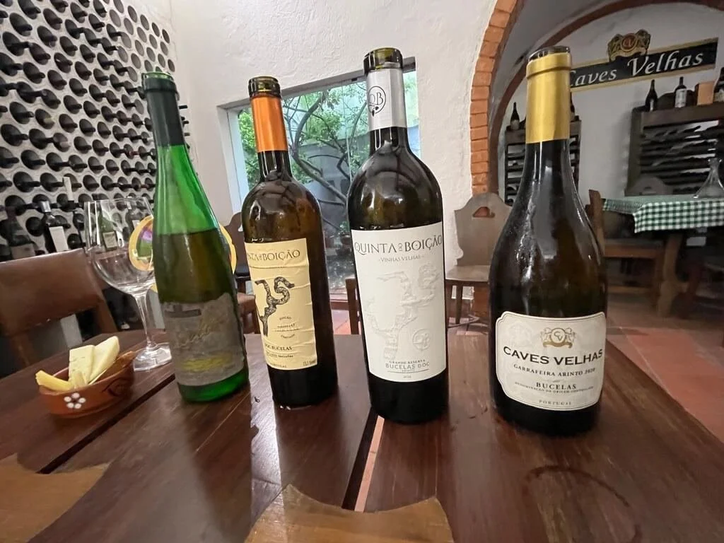 bucelas-enoport-group-tasting.jpeg