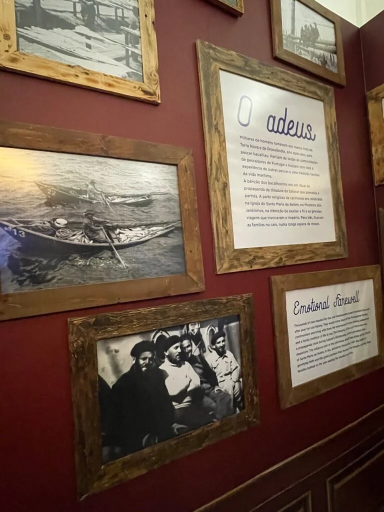 codfish-museum-lisbon-3.jpeg
