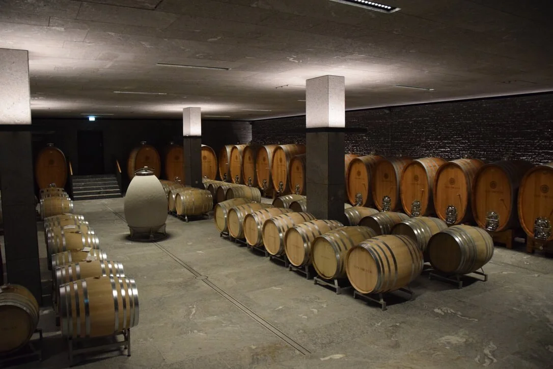 van-volxem-cellars.jpeg