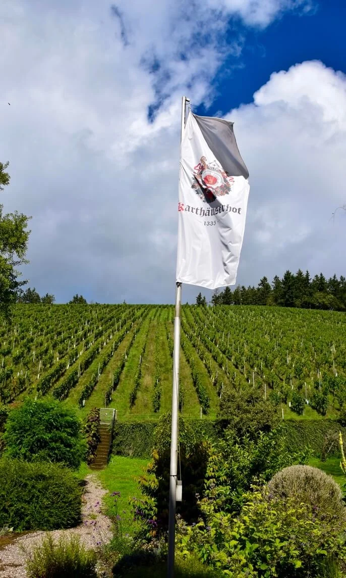 karthäuserhofberg-vineyard-2.jpeg