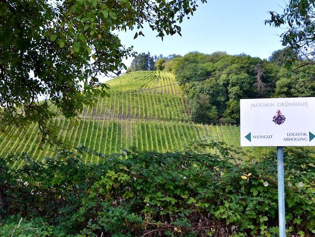 maximin-grünhaus-ruwer-abstberg-vineyard-3.jpeg