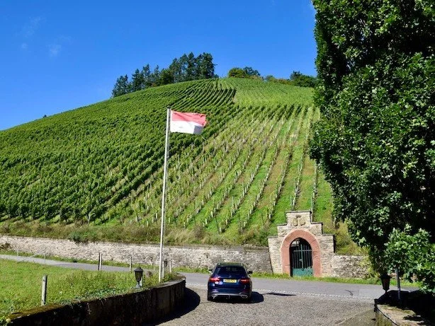 maximin-grünhaus-ruwer-abstberg-vineyard.jpeg