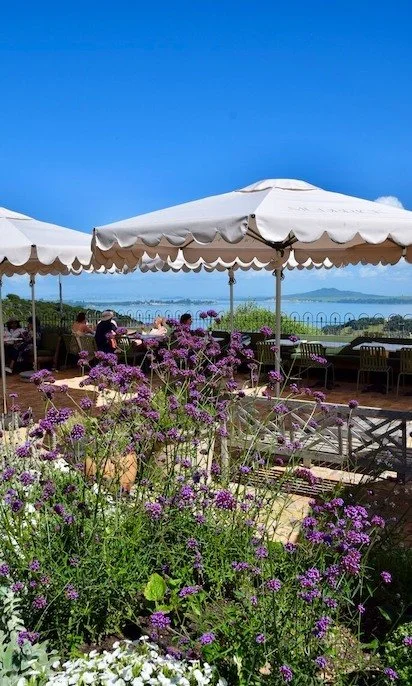 mudbrick-winery-3.jpeg