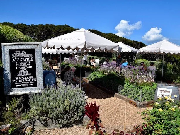 mudbrick-winery-waiheke.jpeg