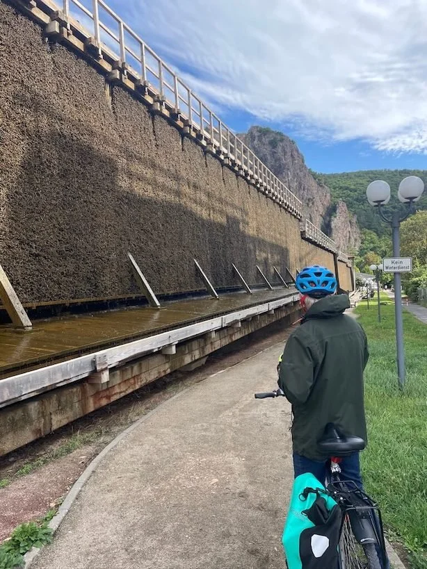 nahe-valley-cycle-path-2.jpeg