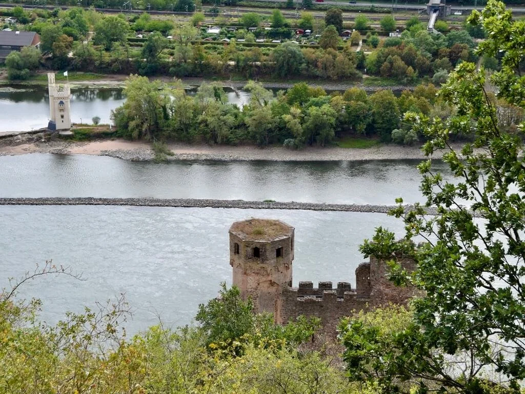 castles-rhine-rudesheim.jpeg