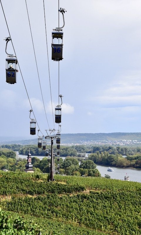 rüdesheim-ring-tour.jpeg