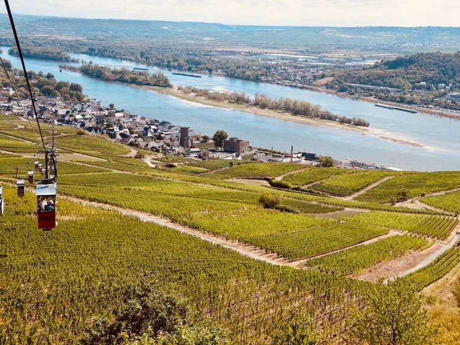 3 day tour of Germany’s Rheingau wine region