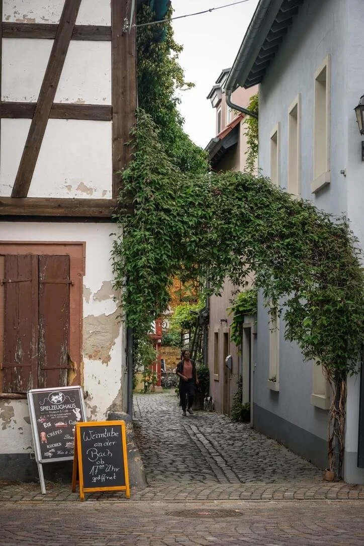 freinsheim-city-tour.-3.jpeg