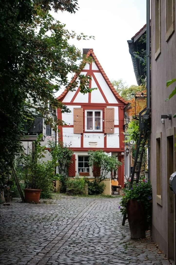 freinsheim-city-tour.jpeg