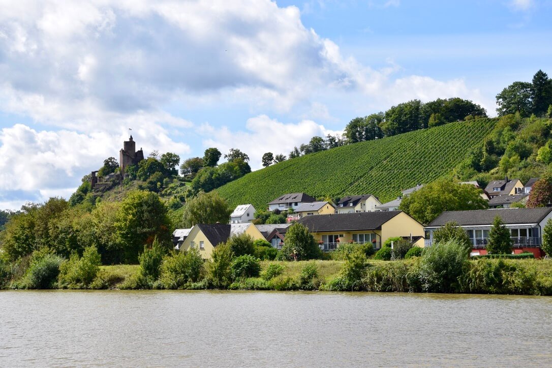 Discover Saar Riesling wine along the beautiful Saar cycle route