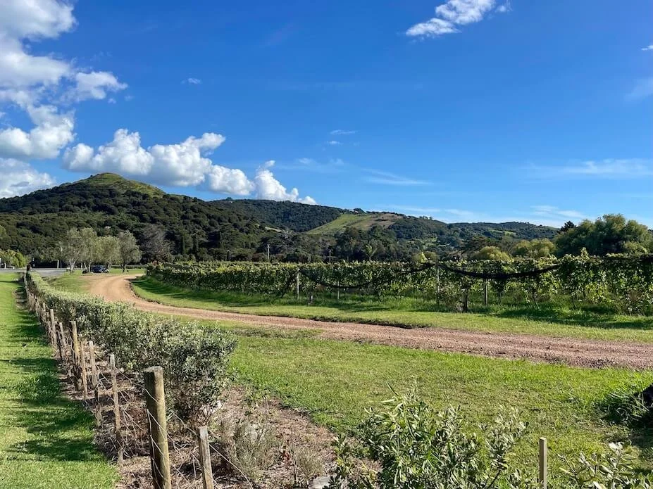 Waiheke Island, Stonyridge Estate