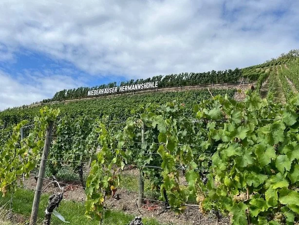 Hermannshöhle vineyard, Niederhausen