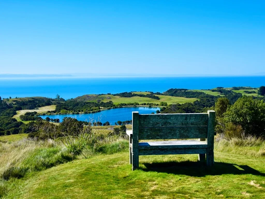 Discover beautiful Hawke’s Bay wines