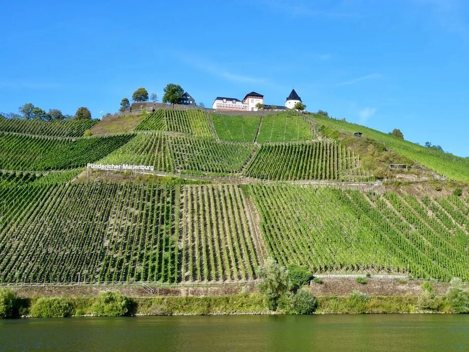 Wine tasting at Mosel icon, Weingut Clemens Busch