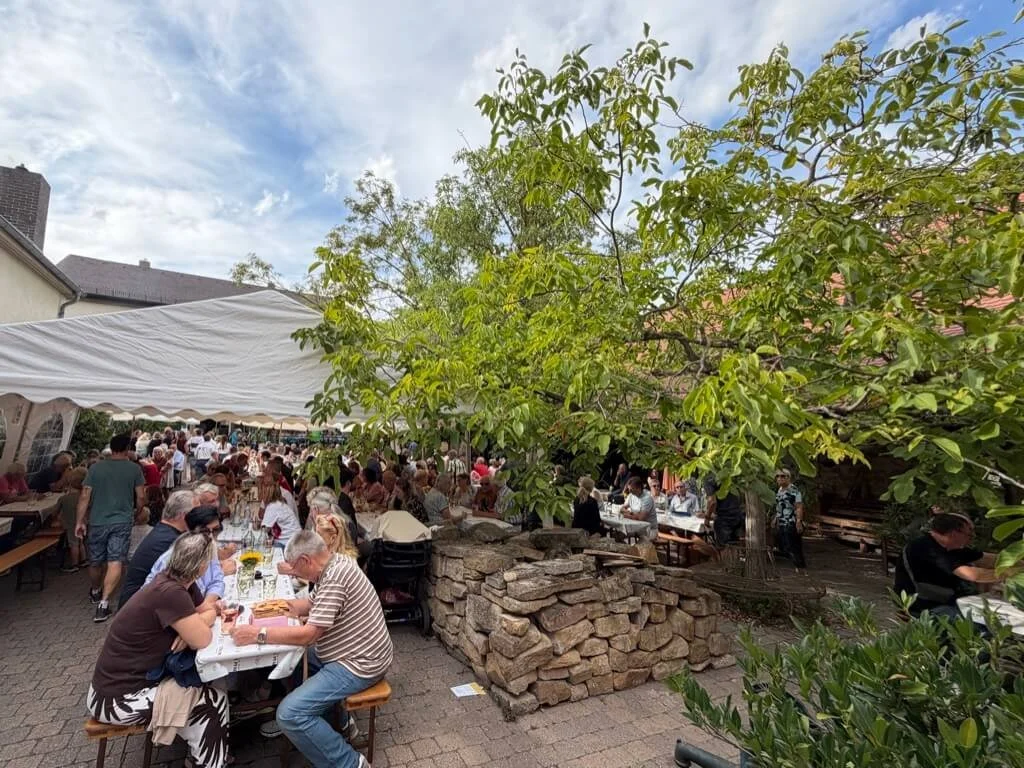 Enjoy a Pfalz wine festival