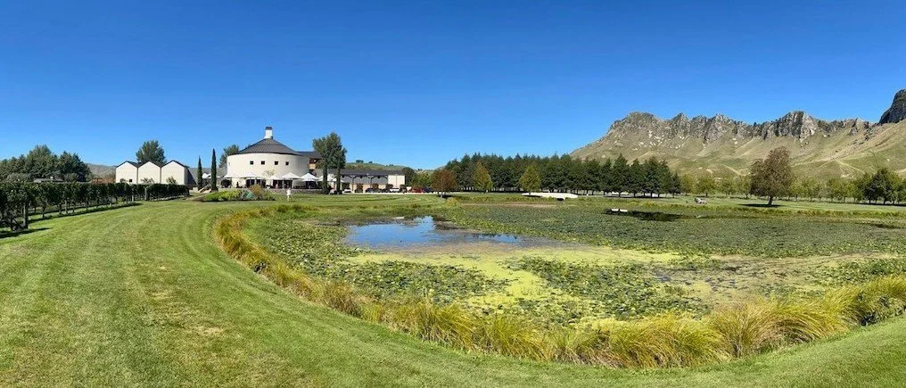 An introduction to New Zealand wines &amp; wine tourism