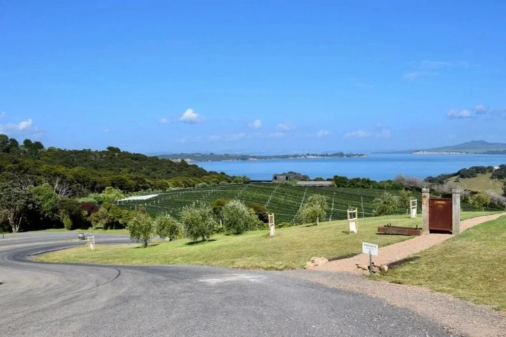 Discover Auckland and Waiheke Island wines