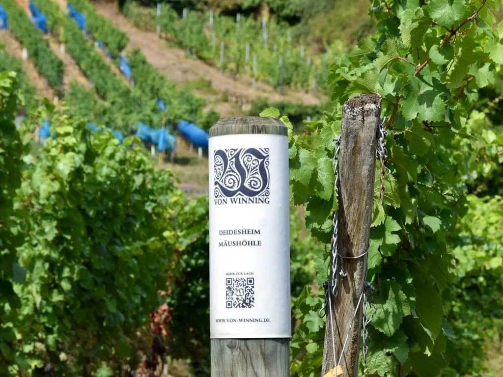 deidesheim-wine-producers.jpeg
