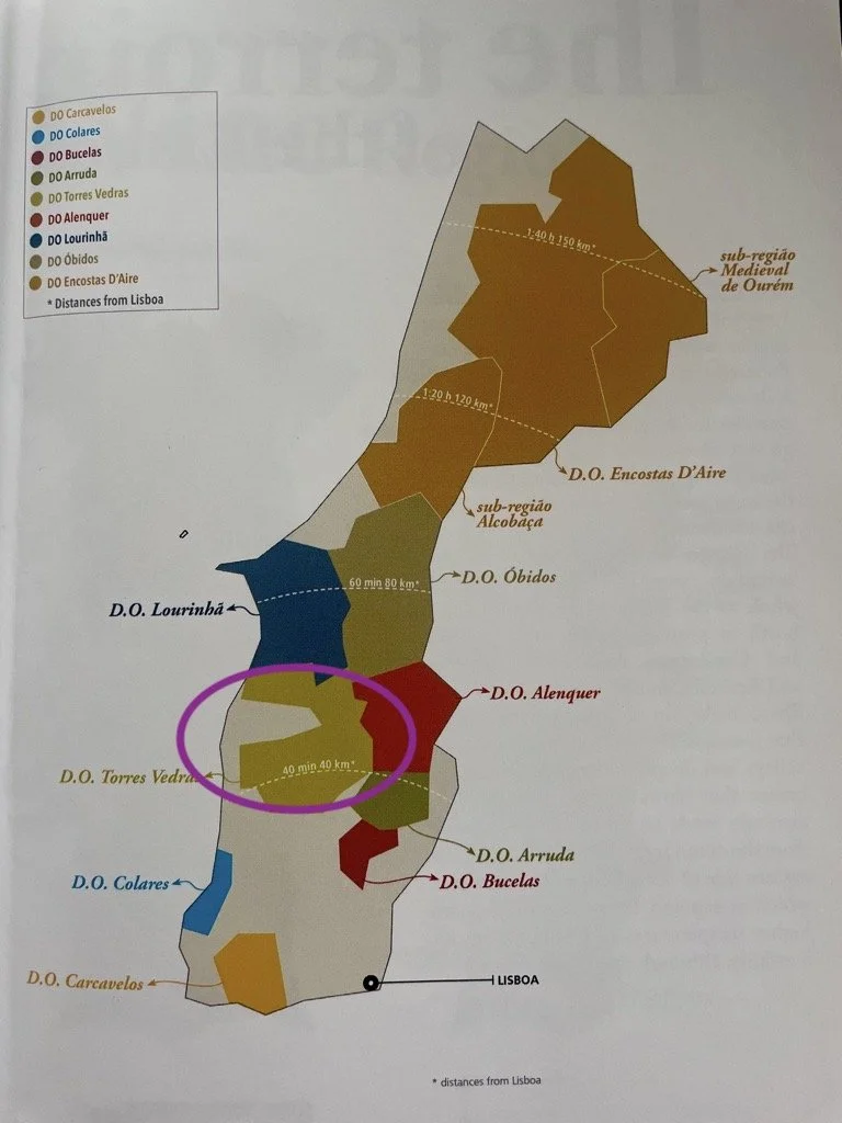 Torres Vedras - Lisboa wine region