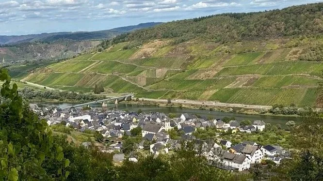 Reil an der Mosel