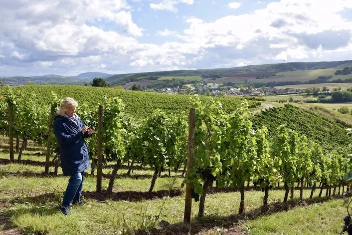 Walking through vineyards in Meddersheim, Nahe 