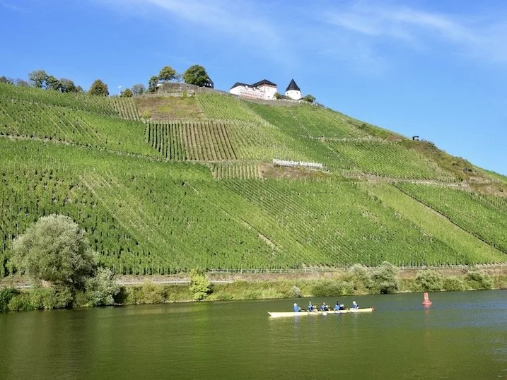 Vineyards at Pünderich on the Mosel