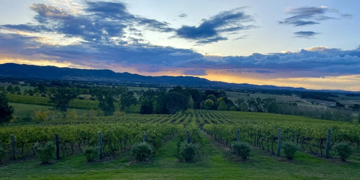 About our partners — Wine Keller