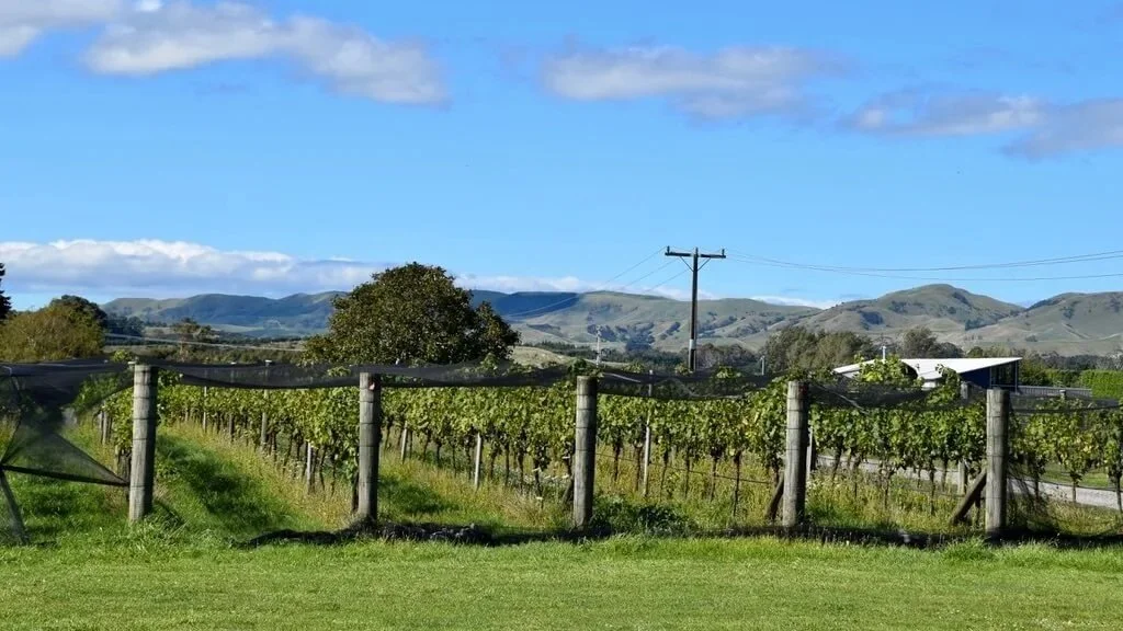Palliser Wine Estate, Wairarapa