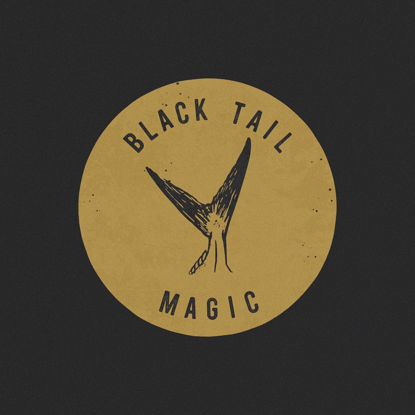 A permit&rsquo;s mysterious ways of escaping, eluding, outsmarting, torturing, haunting, and taking over one&rsquo;s mind can only be chalked up to one thing&hellip; black magic. In the spirit of Halloween soon approaching, I wanted to bring Black Ta