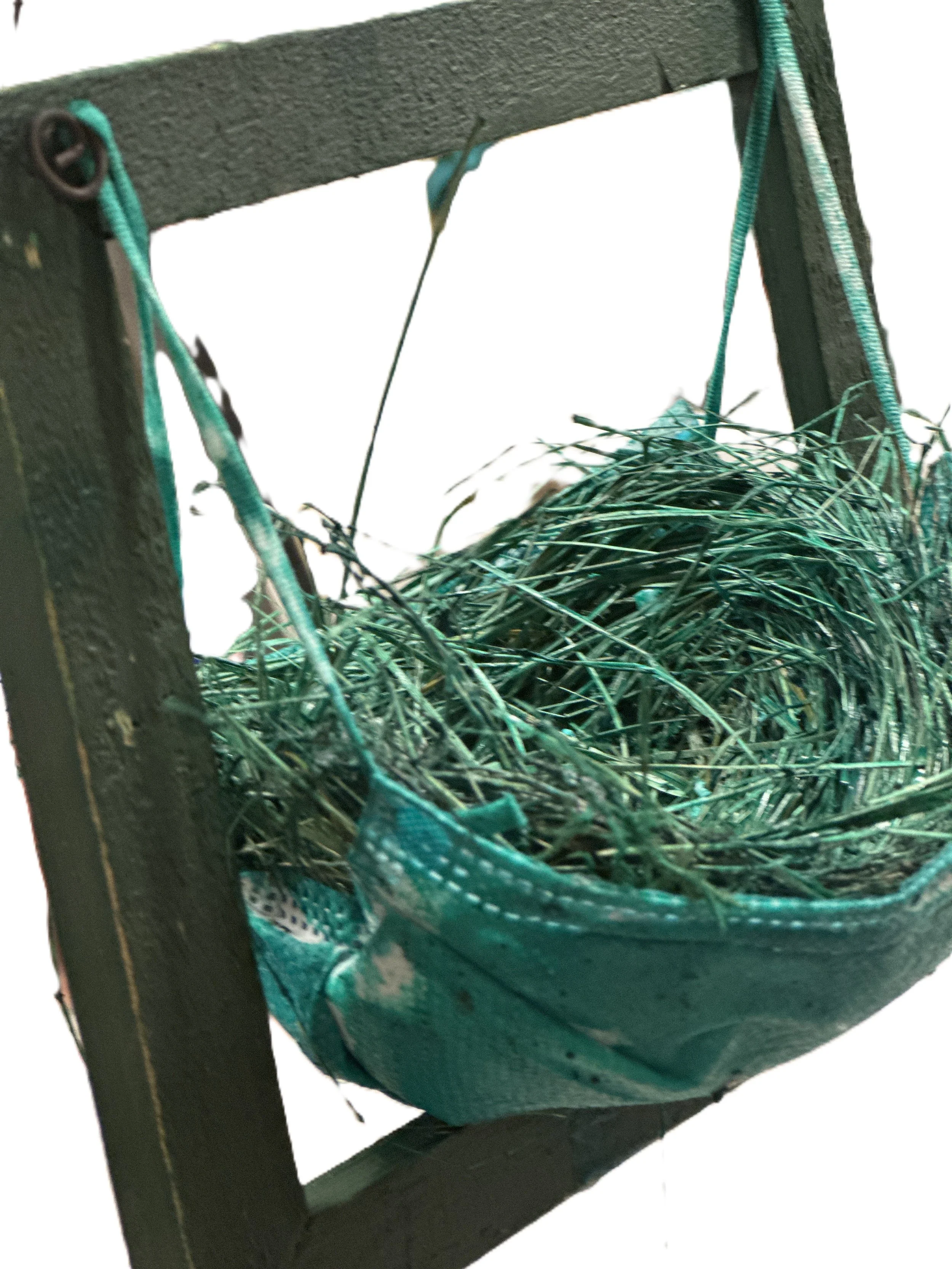 Nest3_Skagfeld.jpeg