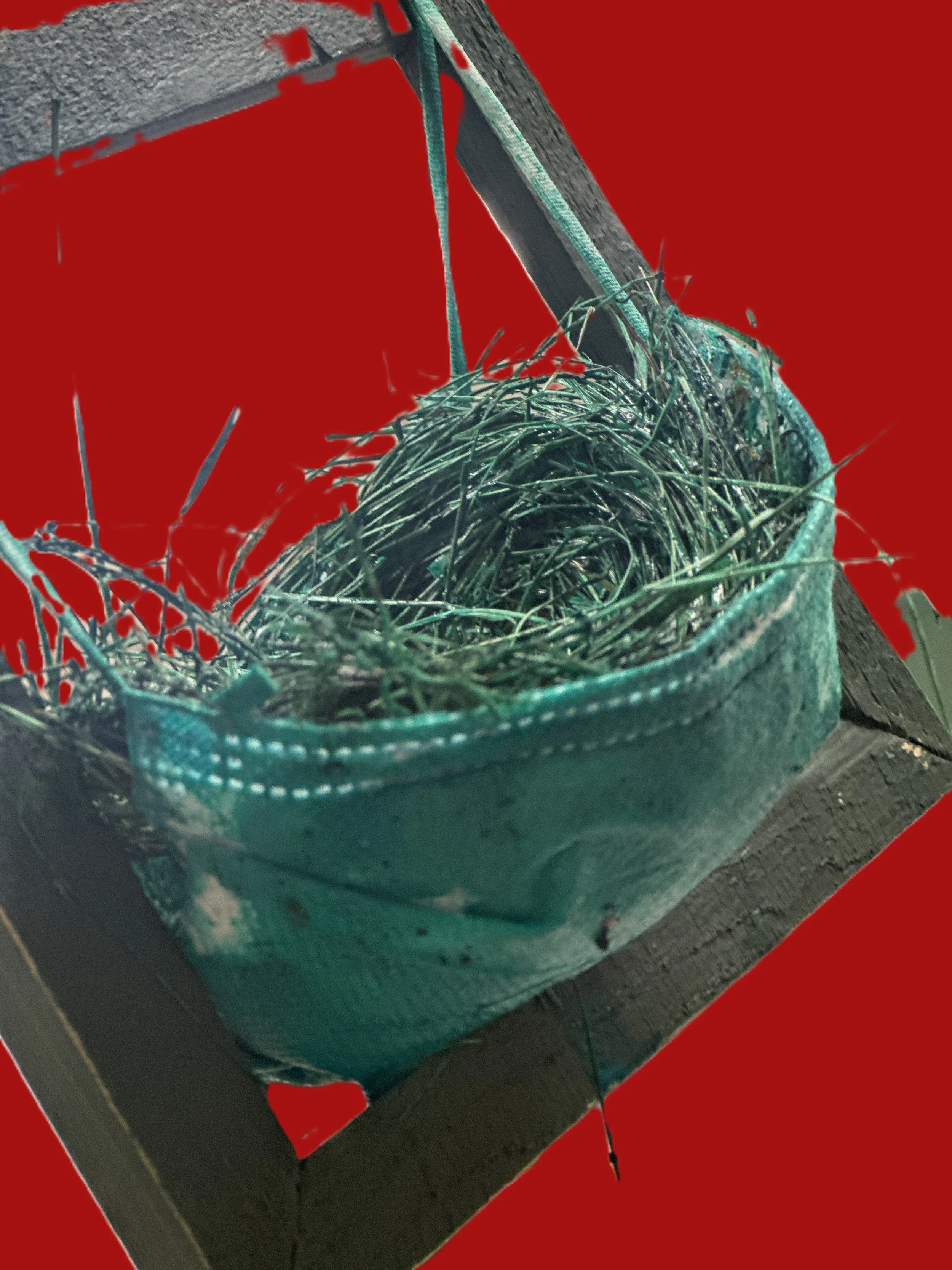 Nest Red 2.jpeg