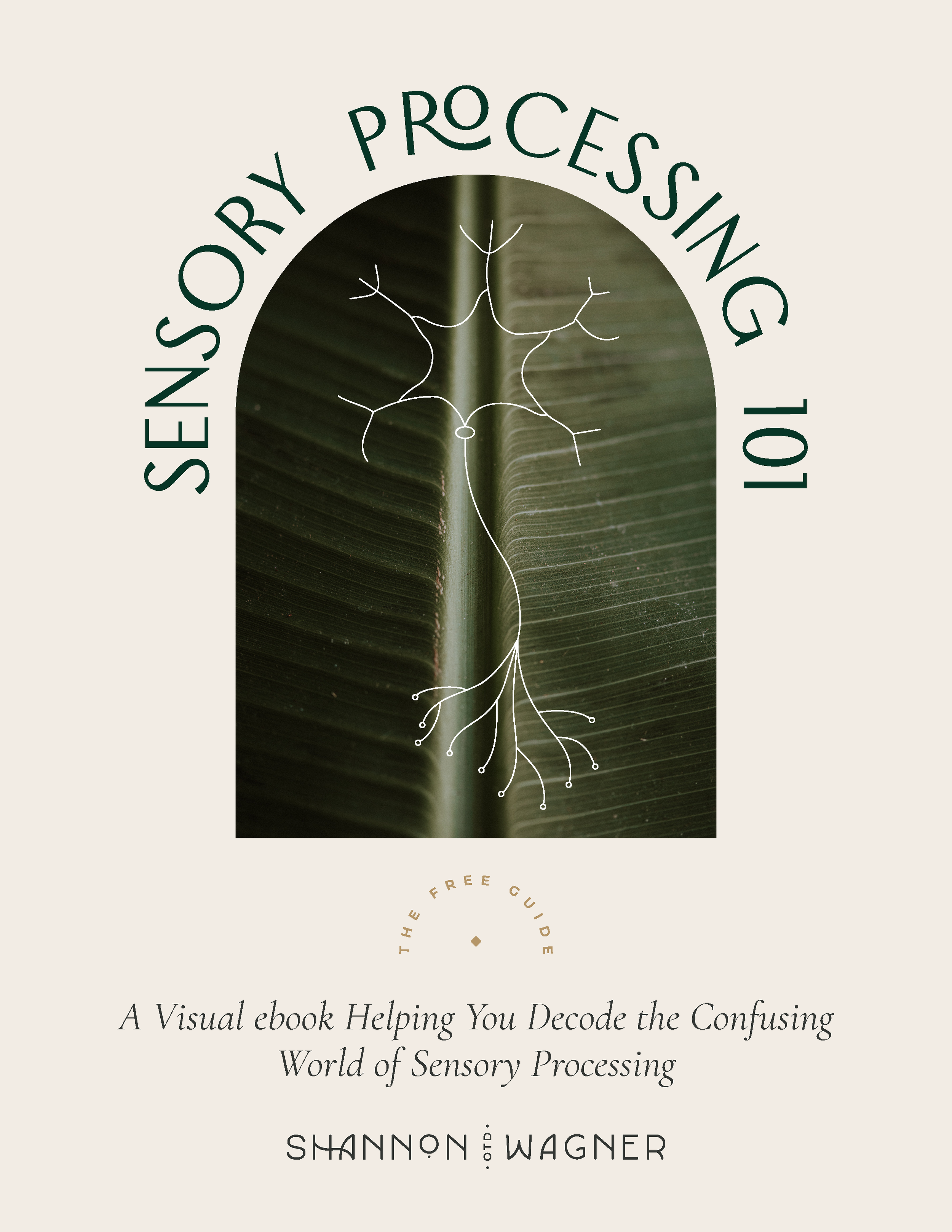 Sensory Processing 101 PNGS.png