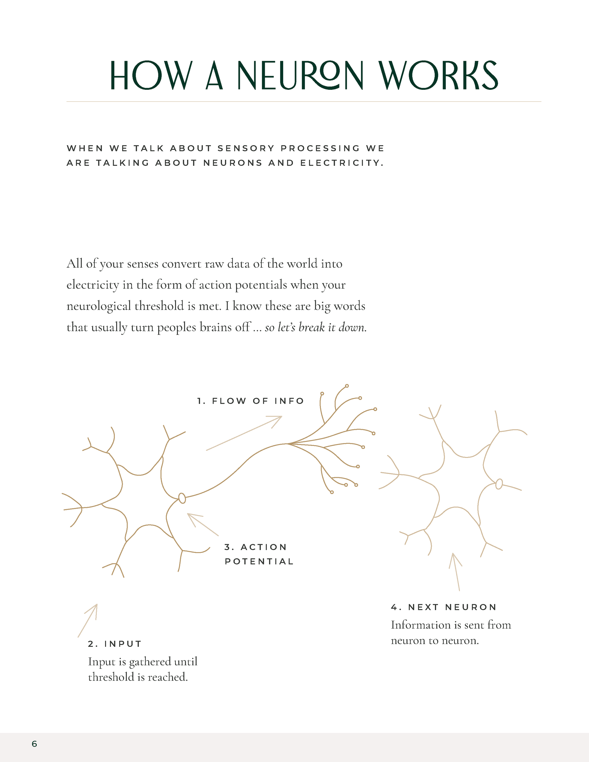 Sensory Processing 101 PNGS6.png