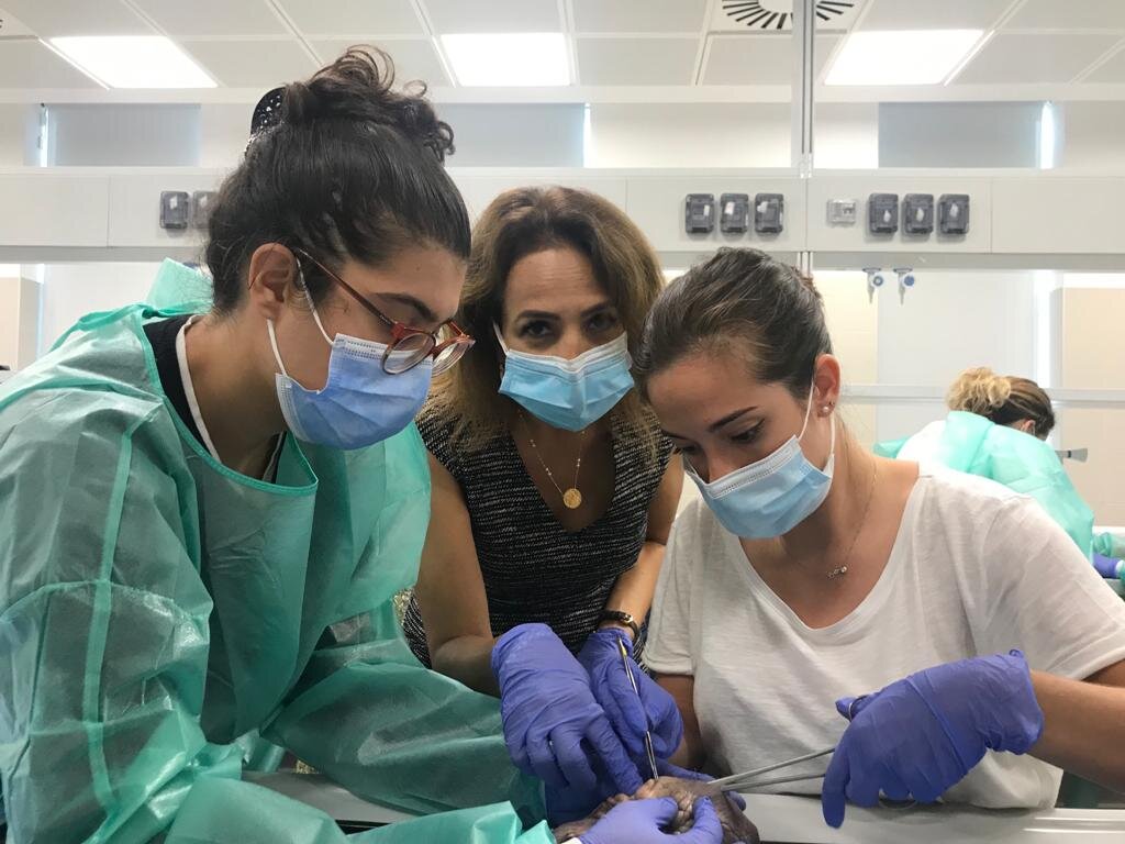 2021 - 4EU+ and 28th PEERS workshop, Milan; our colleague prof. Rasha Kamel supervises perineal repair