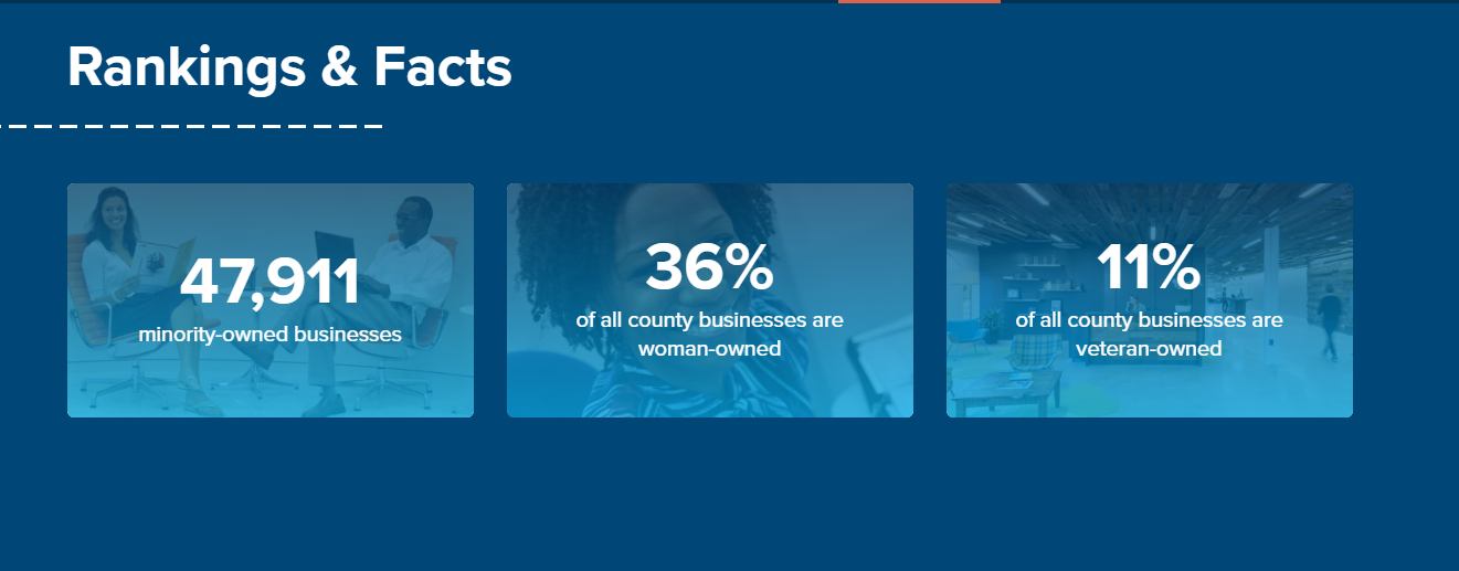 Business Diversity In The DMV Fairfax County — DMV Business Crossing