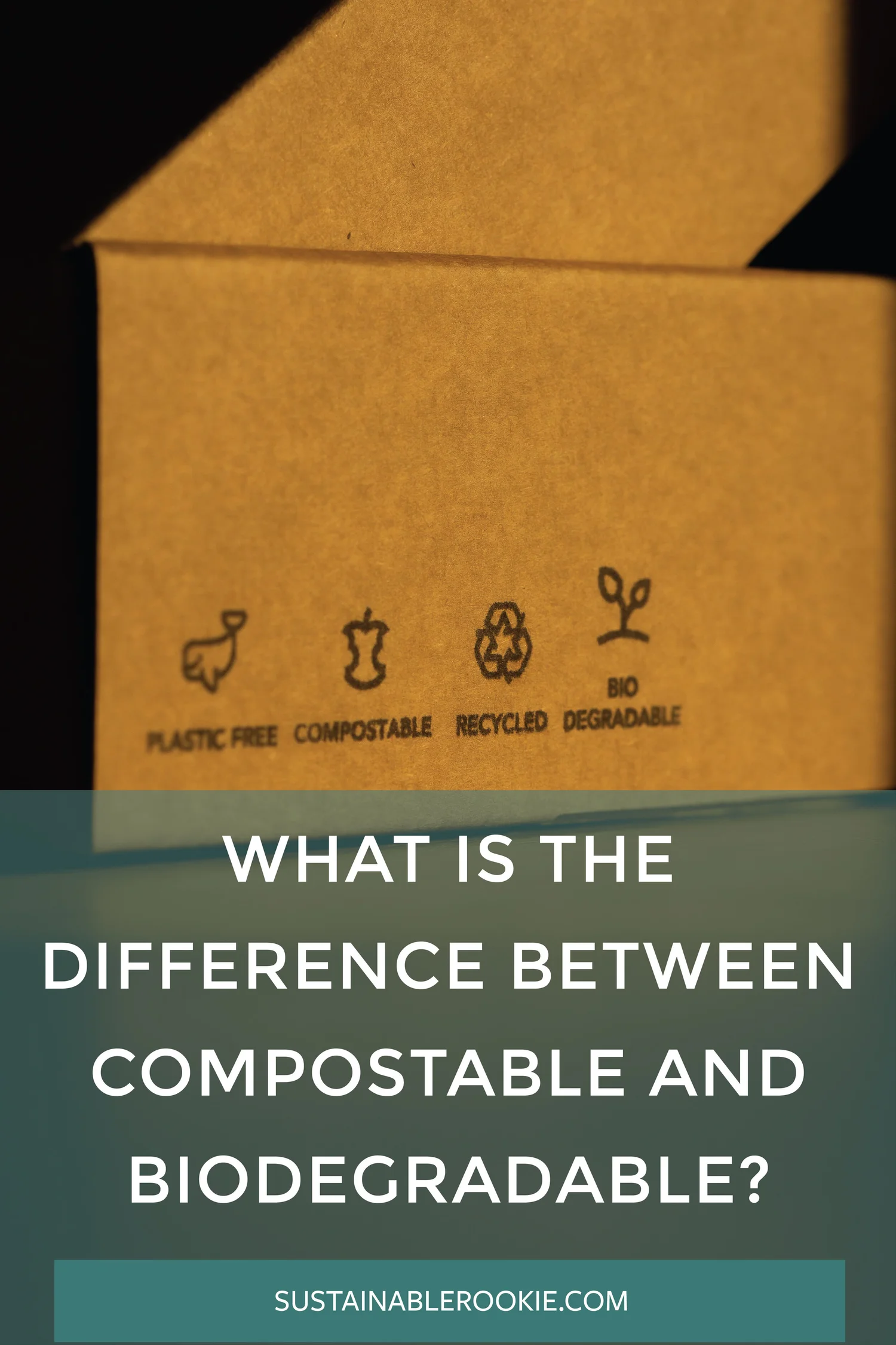 What Is The Difference Between Compostable and Biodegradable? — Sustainable Rookie