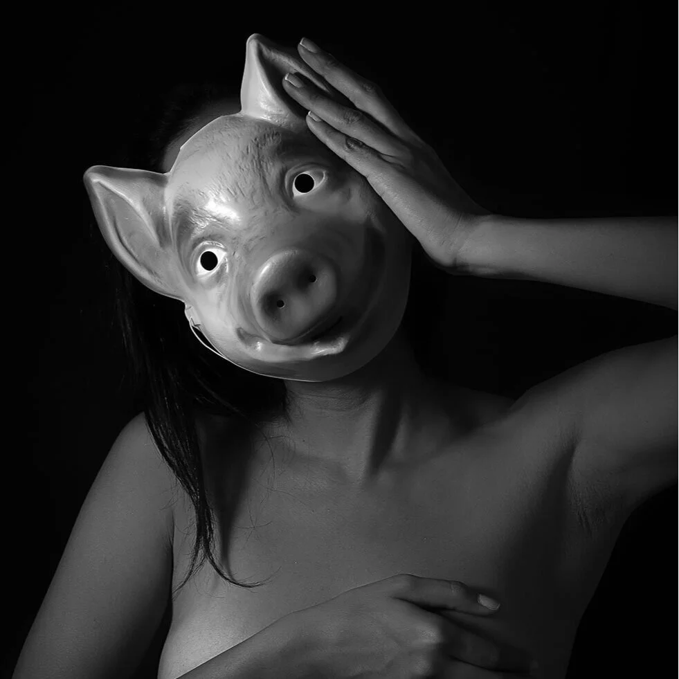PIG_AlmaLammie.jpg