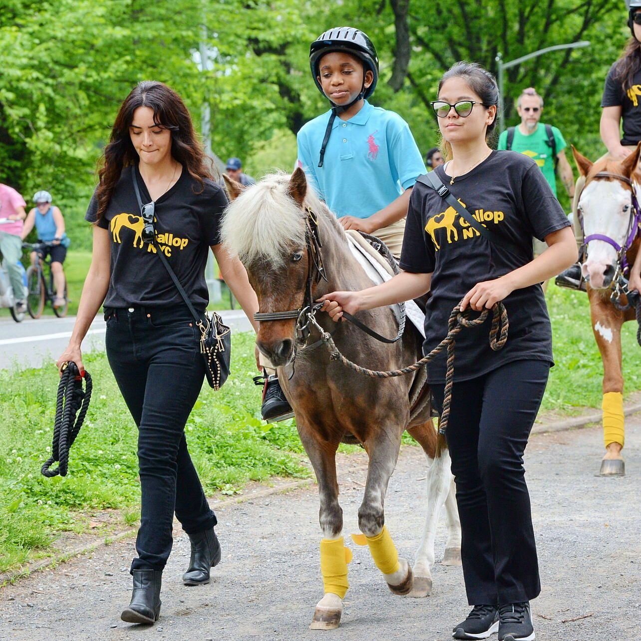 Hello to all my adoring fans! My name is Gracie, and I am a paint pony. I have been a therapeutic riding and hippotherapy horse at @GallopNYC for many years. I spend my winters living at GallopNYC&rsquo;s Forest Hills barn and helping my riders reach