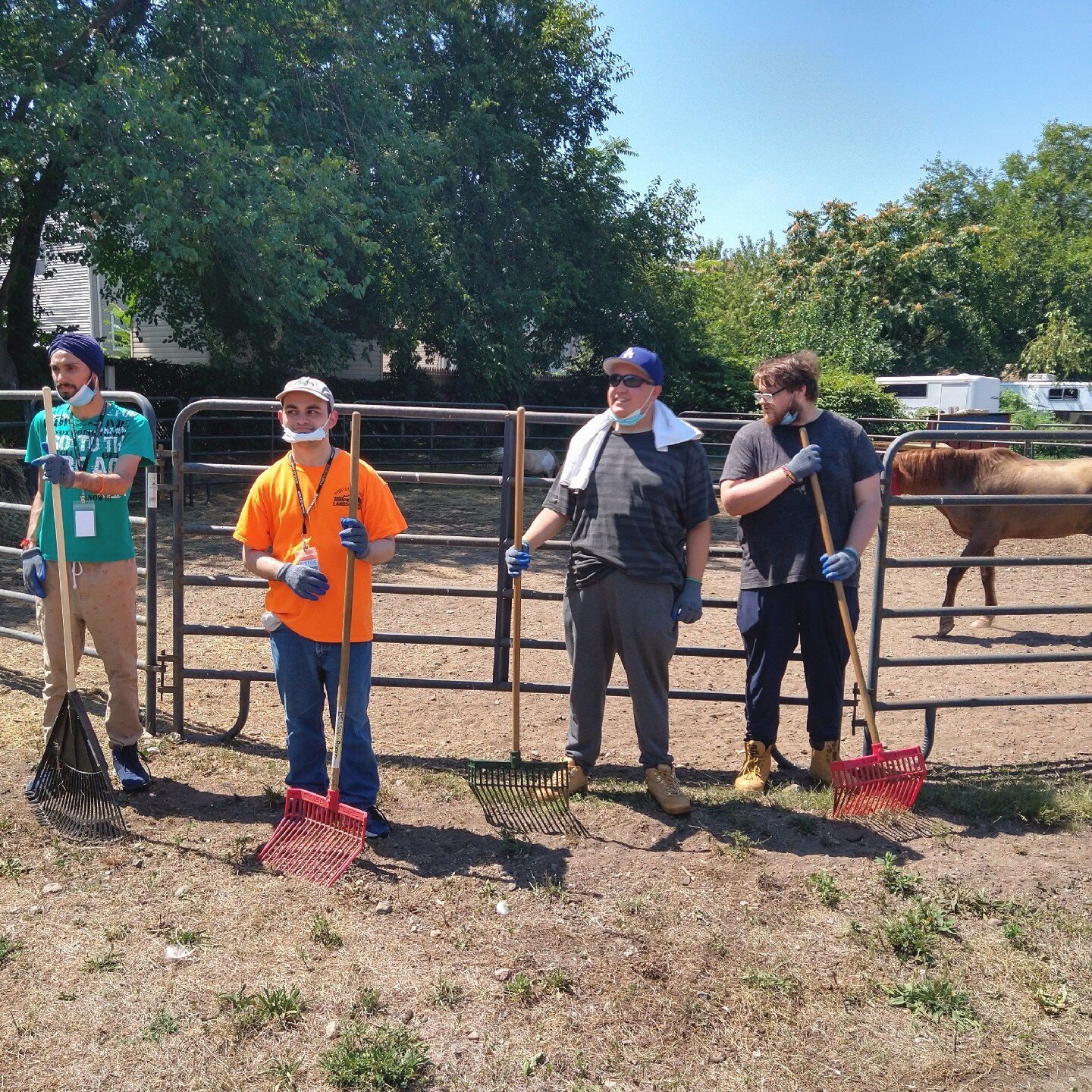 NYFAC (New York Families for Autistic Children) brought several employees for a volunteer day at Sunrise Stables on August 18. They met the horses and helped with barn and yard clean-up. Thank you for your service to @gallopnyc, your efforts are incr