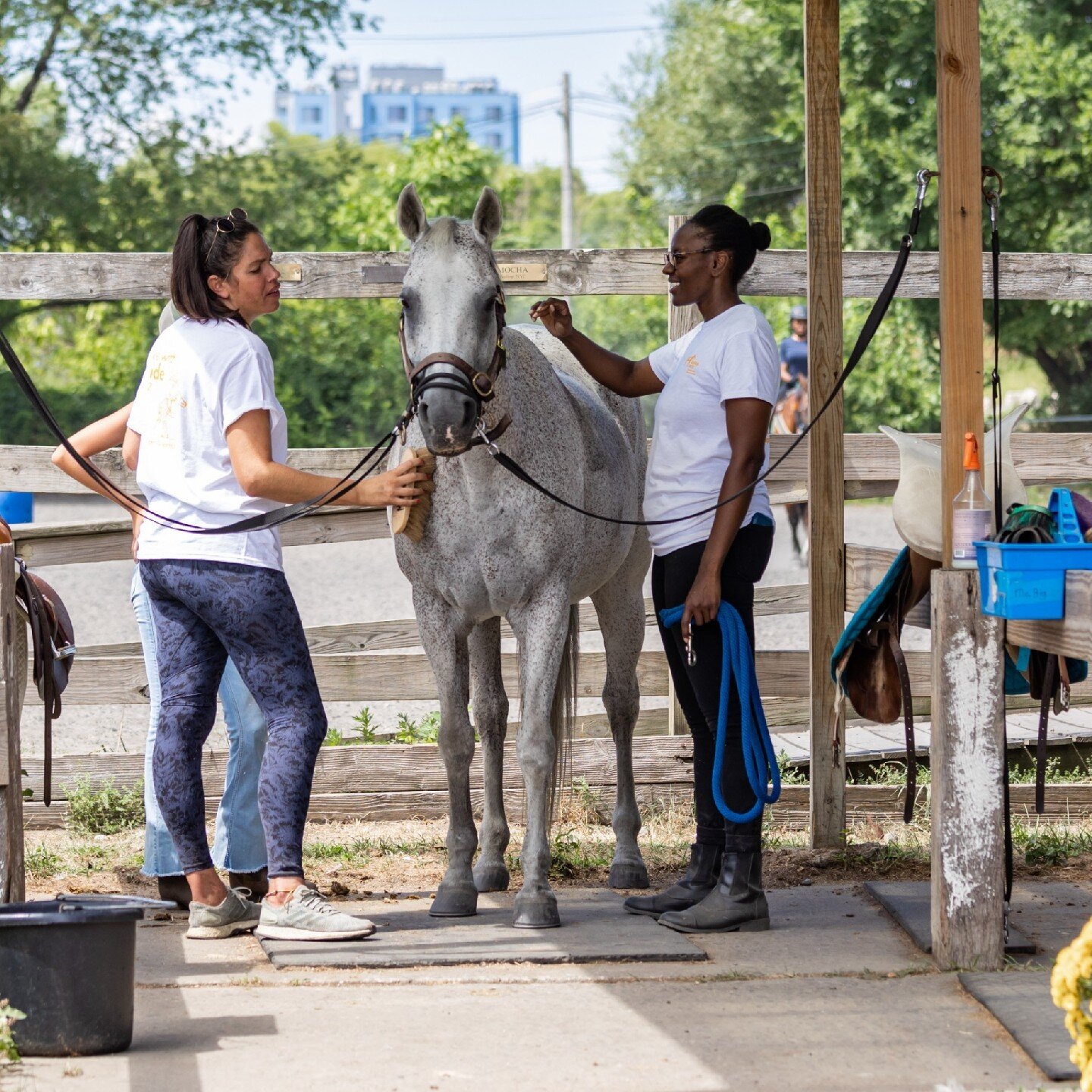 Thank you to the volunteers who give their time to show the GallopNYC horses some extra love! 
[Alt text: Two women brush and pat a grey horse in front of a fence.]

#gallopnyc #therapeutichorsemanship #believe inability #volunteerinnyc #gallopnycvol