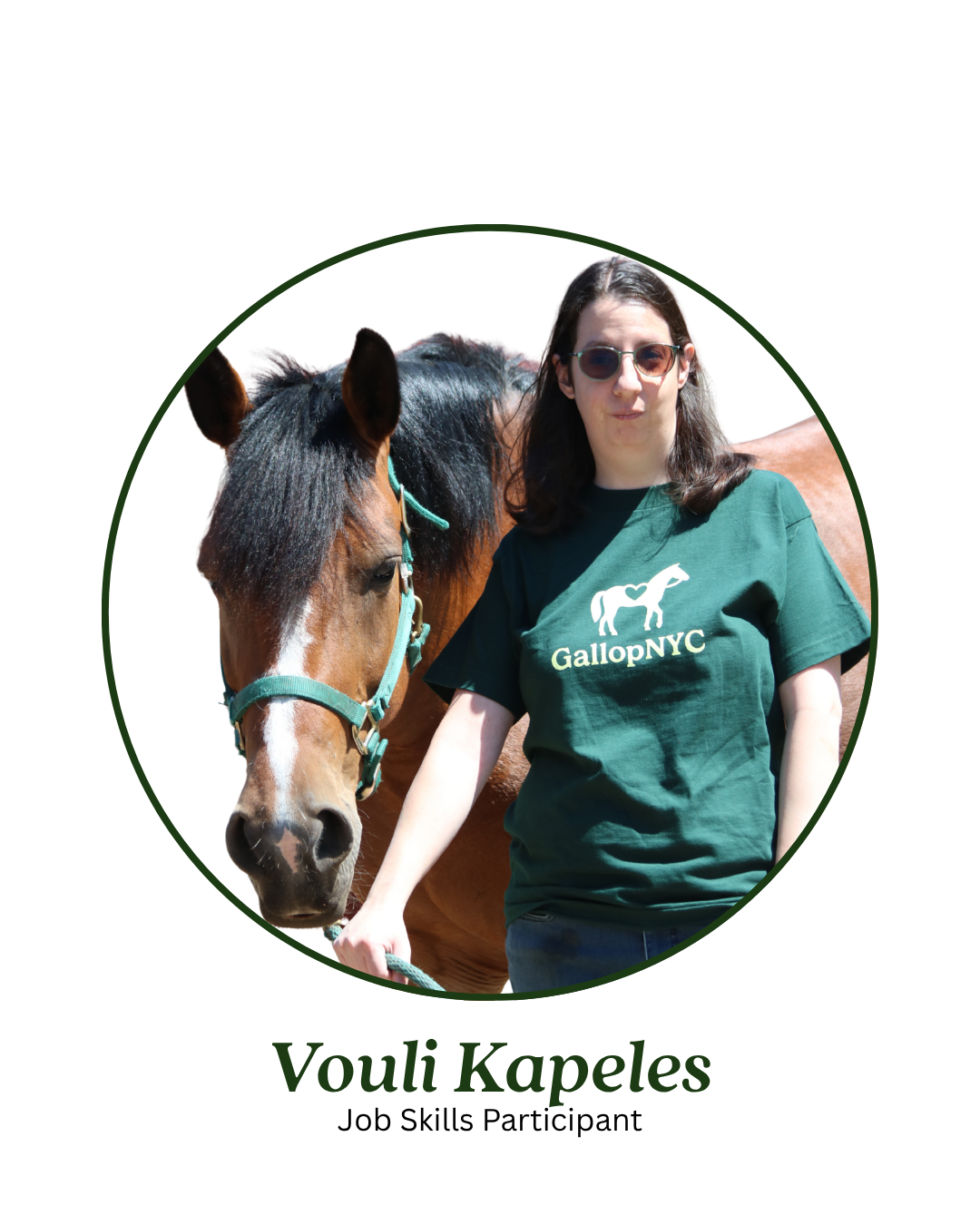 Vouli.png (Copy) (Copy) (Copy)