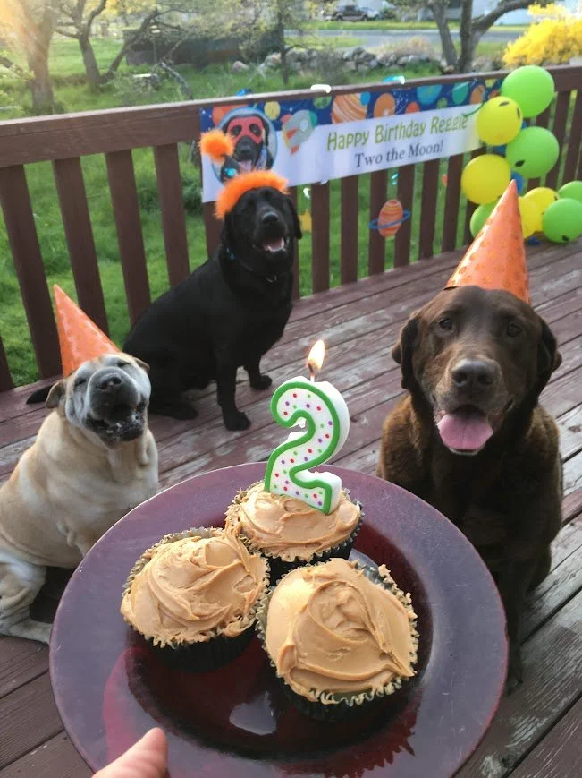 2pawty.JPG