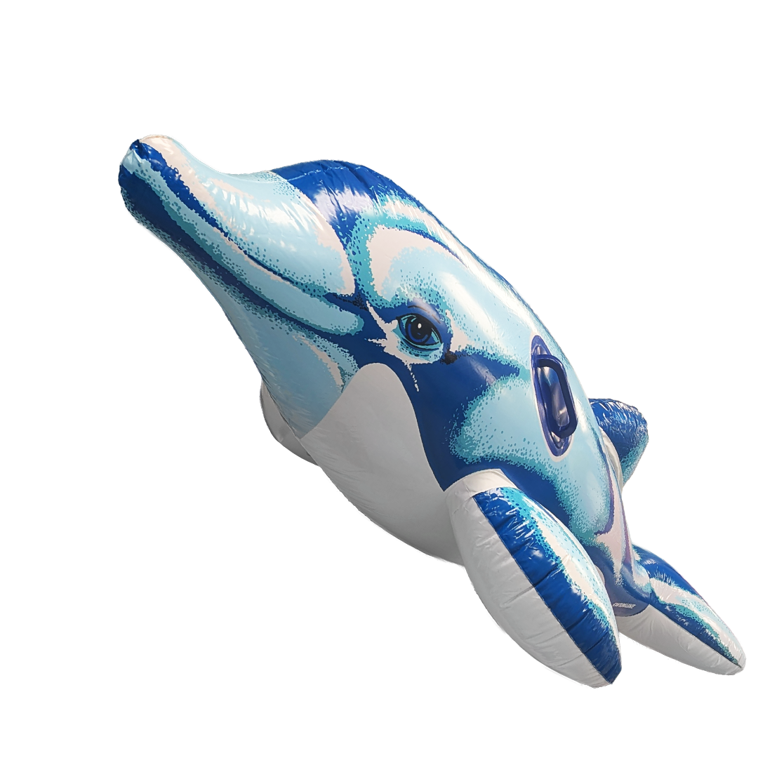 Dolphin