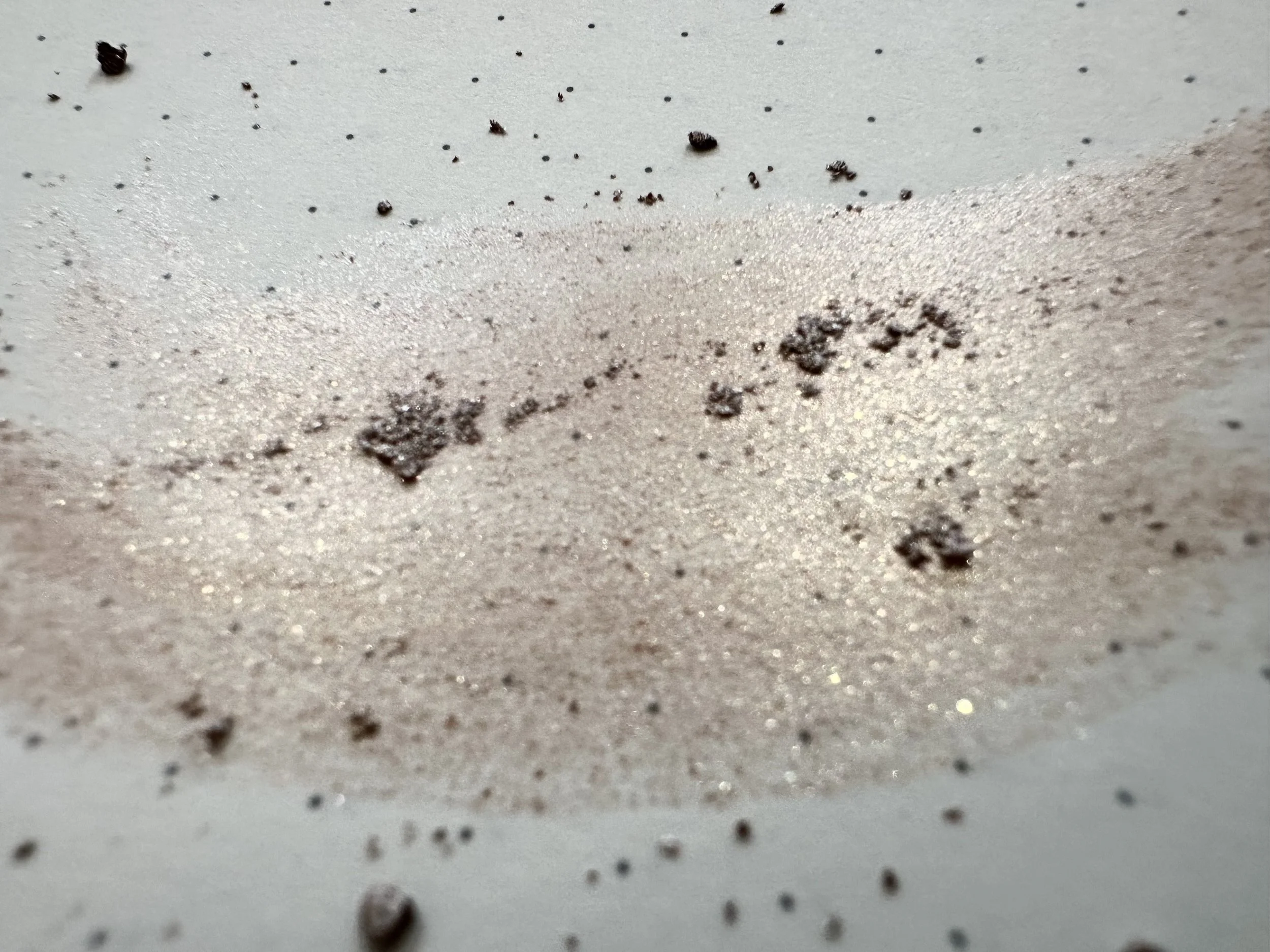 Intentionally added microplastics - Is plastic part of your daily skincare routine? 